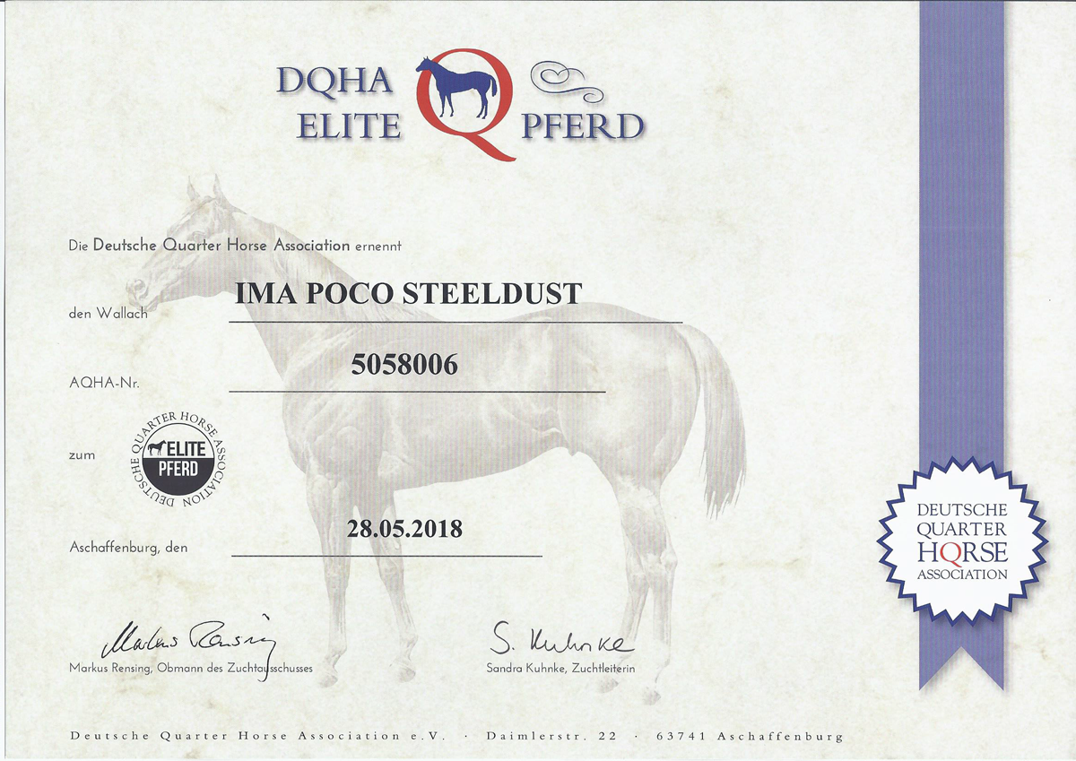 Elite Pferd DQHA Phoenix